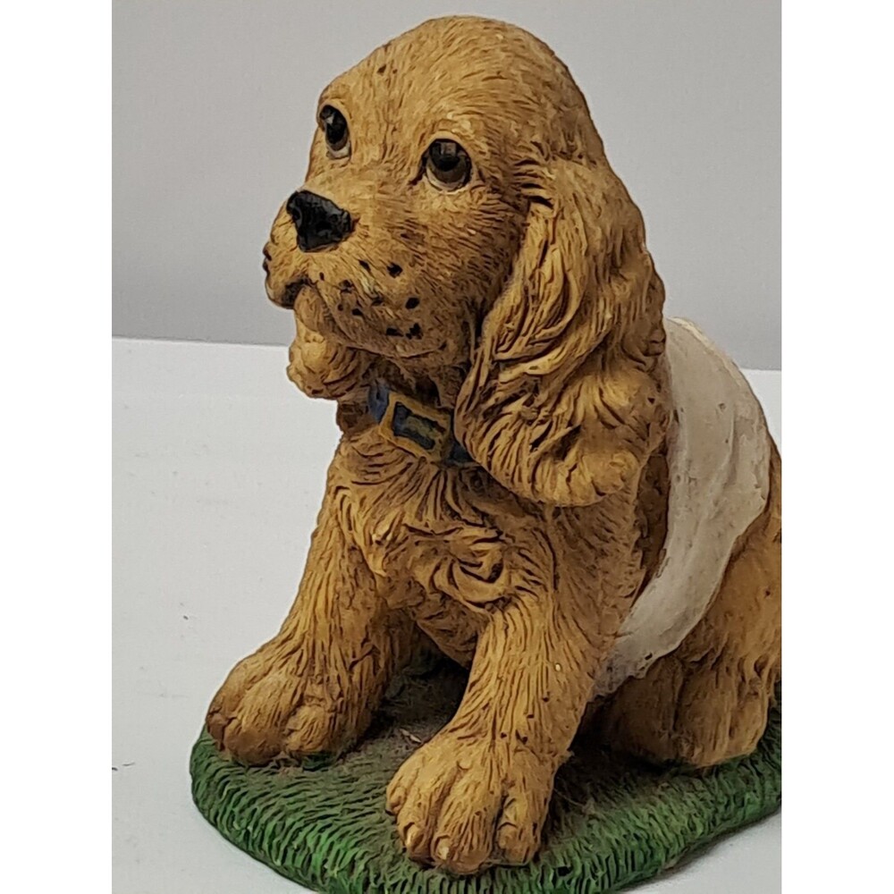 Cocker Spaniel Puppy - Picture 2 of 5